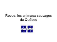 Revue: les animaux sauvages du Qu