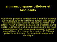 animaux disparus c