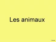 Les animaux