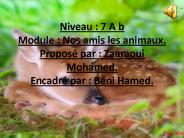 Niveau