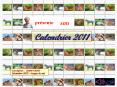 mon calendrier 2011 PowerPoint PPT Presentation