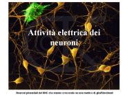 Presentazione di PowerPoint