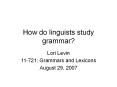 How do linguists study grammar? PowerPoint PPT Presentation