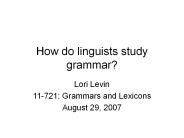 How do linguists study grammar?
