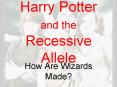 Harry Potter and the Recessive Allele PowerPoint PPT Presentation