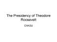 The Presidency of Theodore Roosevelt PowerPoint PPT Presentation