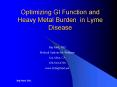Optimizing GI Function and Heavy Metal Burden in Lyme Disease PowerPoint PPT Presentation