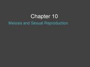 Meiosis and Sexual Reproduction