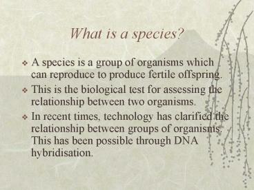 What is a species?