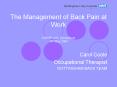 The Management of Back Pain at Work AOHNP (UK) Symposium 13th May 2004 PowerPoint PPT Presentation