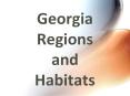 Georgia Regions and Habitats PowerPoint PPT Presentation