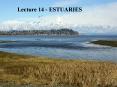Lecture 14 - ESTUARIES PowerPoint PPT Presentation