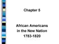 African Americans PowerPoint PPT Presentation