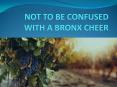 NOT TO BE CONFUSED WITH A BRONX CHEER PowerPoint PPT Presentation