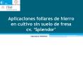 Aplicaciones foliares de hierro en cultivo sin suelo de fresa cv.  PowerPoint PPT Presentation