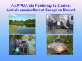 AAPPMA de Fontenay-le-Comte: Amicale Vend PowerPoint PPT Presentation
