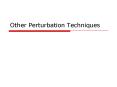 Other Perturbation Techniques PowerPoint PPT Presentation