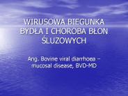 WIRUSOWA BIEGUNKA BYDLA I CHOROBA BLON SLUZOWYCH