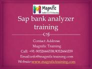 sap bank analyzer online training in south africa