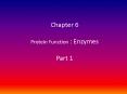 Chapter 6 Protein Function : Enzymes  Part 1 PowerPoint PPT Presentation