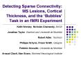 Detecting Sparse Connectivity: MS Lesions, Cortical Thickness, and the  PowerPoint PPT Presentation