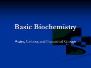 Basic Biochemistry