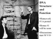 DNA Structure and Function