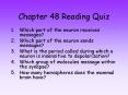 Chapter 48 Reading Quiz PowerPoint PPT Presentation