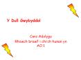 Y Dull Gwybyddol PowerPoint PPT Presentation