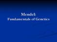 Mendel: Fundamentals of Genetics PowerPoint PPT Presentation