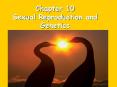 Chapter 10 Sexual Reproduction and Genetics PowerPoint PPT Presentation