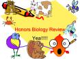 Honors Biology Review PowerPoint PPT Presentation