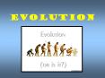 evolution PowerPoint PPT Presentation