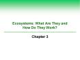 Ecosystems: What Are They and How Do They Work? PowerPoint PPT Presentation