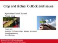 Crop and Biofuel Outlook and Issues PowerPoint PPT Presentation
