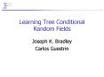 Learning Tree Conditional Random Fields PowerPoint PPT Presentation