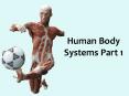 Human Body Systems Part 1 PowerPoint PPT Presentation