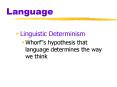 Language PowerPoint PPT Presentation