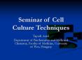 Seminar of Cell Culture Techniques PowerPoint PPT Presentation