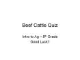 Beef Cattle Quiz PowerPoint PPT Presentation