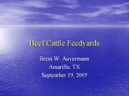 Beef Cattle Feedyards