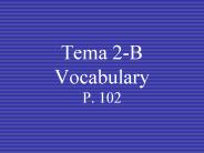 Tema 2-B Vocabulary