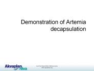 Live food aquaculture training course
