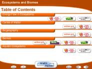 Energy Flow in Ecosystems