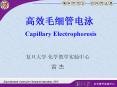 ??????? Capillary Electrophoresis PowerPoint PPT Presentation