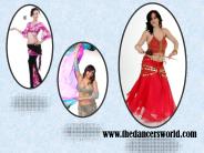 Belly Dance Belts (1)