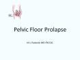 Pelvic Floor Prolapse PowerPoint PPT Presentation