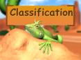 Classification PowerPoint PPT Presentation