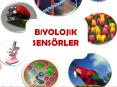 BIYOLOJIK SENS PowerPoint PPT Presentation