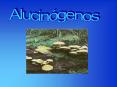 Alucin PowerPoint PPT Presentation